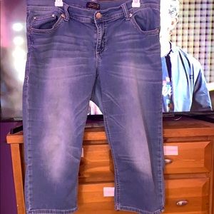 COPY - Melissa McCarthy jeans